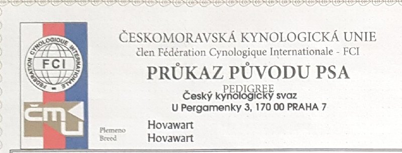 K tomu abyste dokázali číst v rodokmenu psa, nepotřebujete znát ,,kód Navajo“!