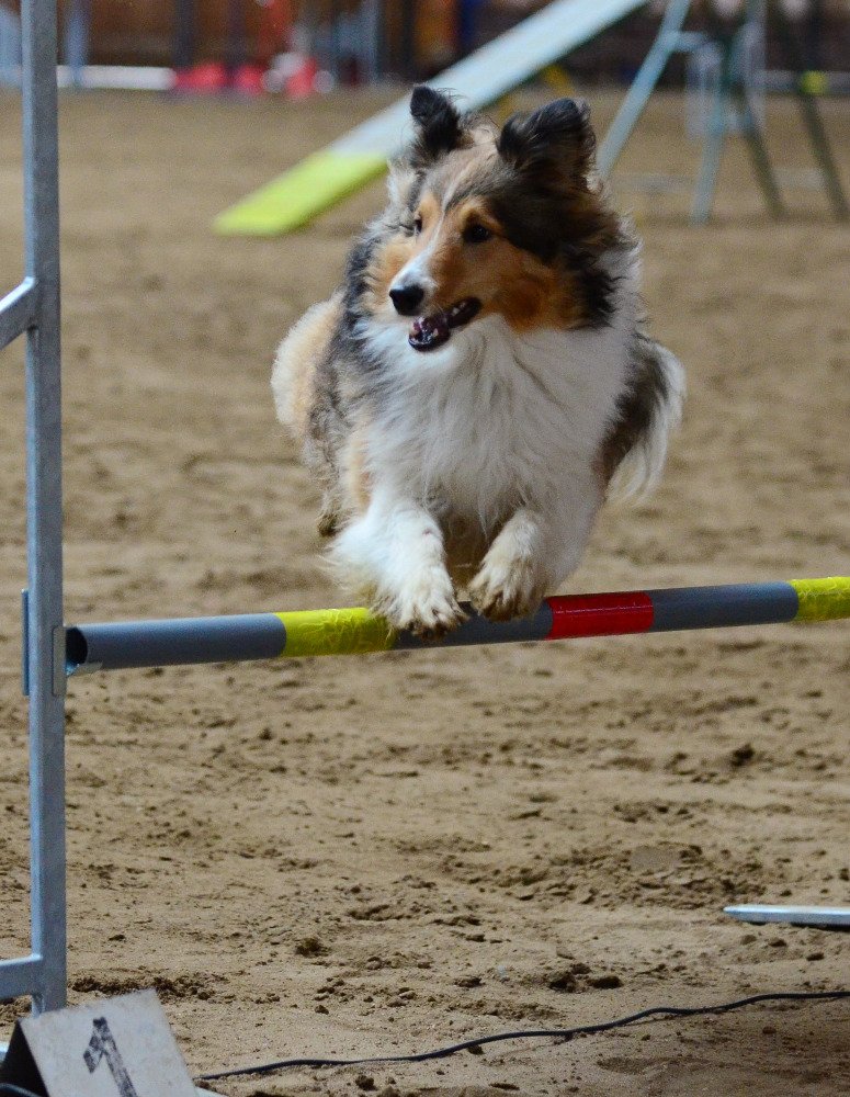 Sportem ku zdraví! A to s bylinkami!