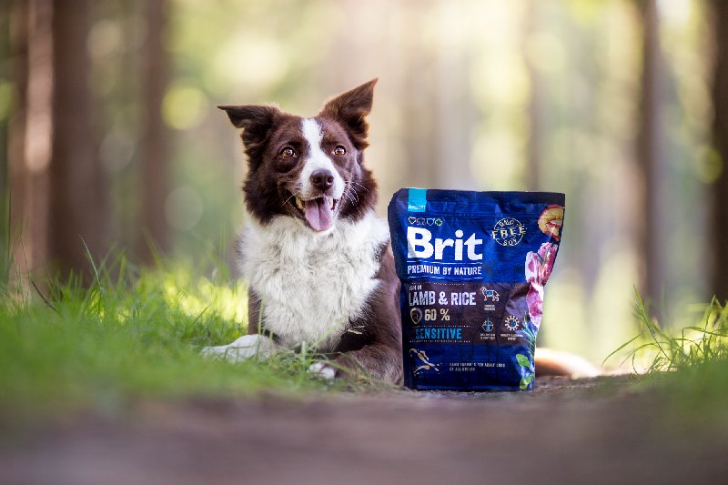 Brit Premium by Nature: Půlpytel masa pro psy