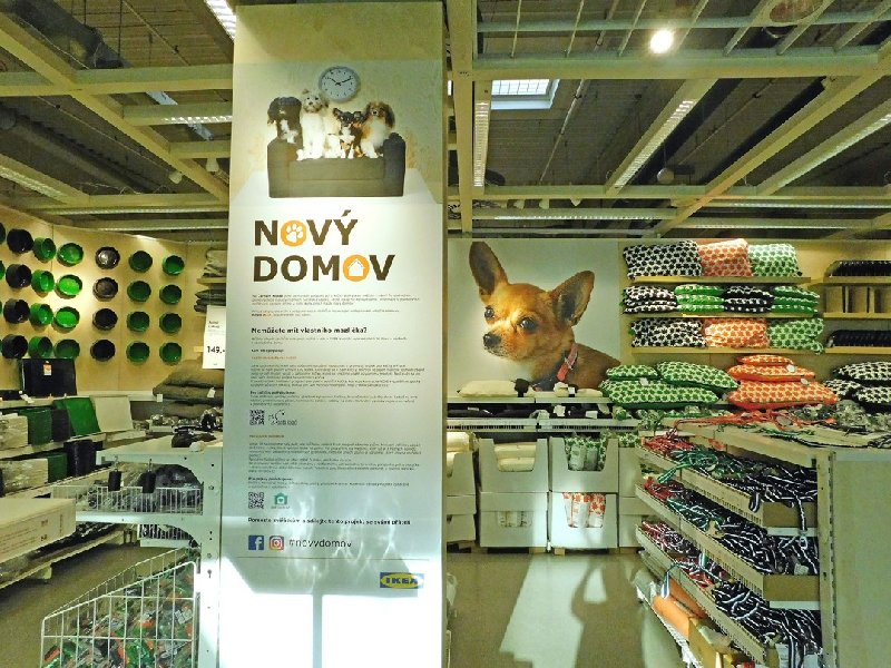 Podpořme projekt „Nový domov“ pro psy a kočky!