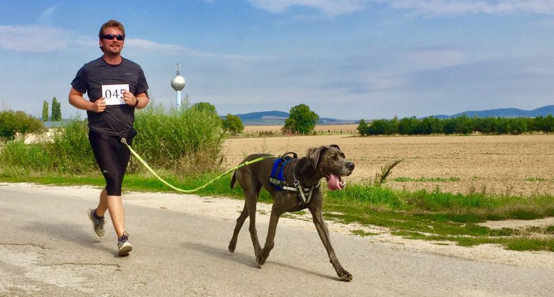 Sportem (se psem) na pomoc druhým!