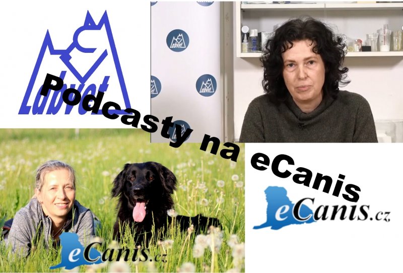 Podcasty na eCanis!