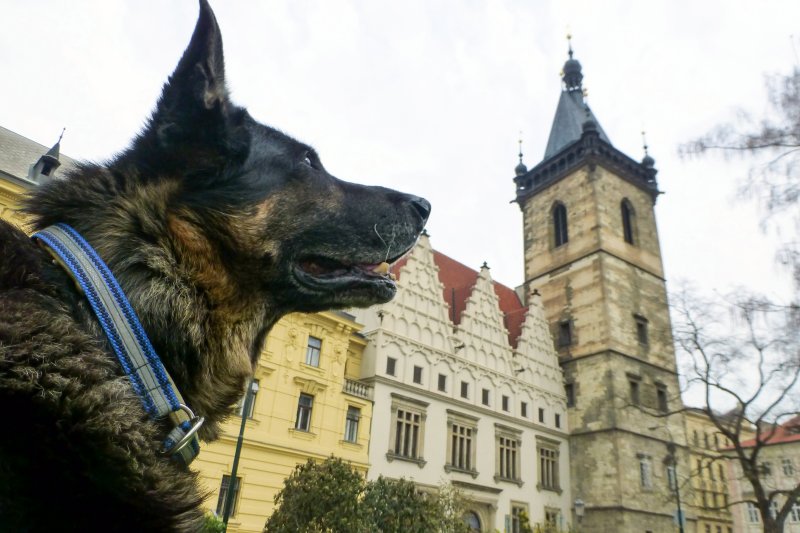 Pražská Novoměstská radnice otevírá svoje brány všem tolik vítaným návštěvníkům