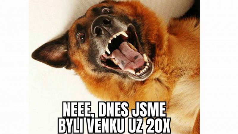 Sesbíráno z internetu...1. díl