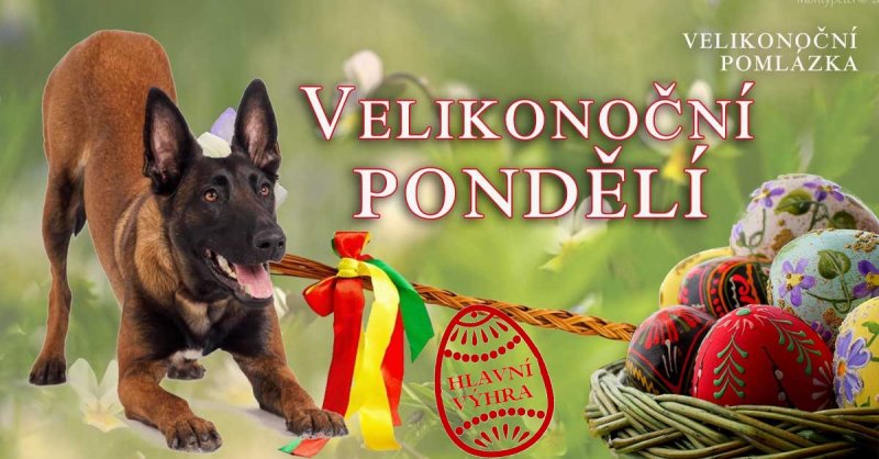 Velikonoční pondělí – Váš pes se už nikdy neztratí!