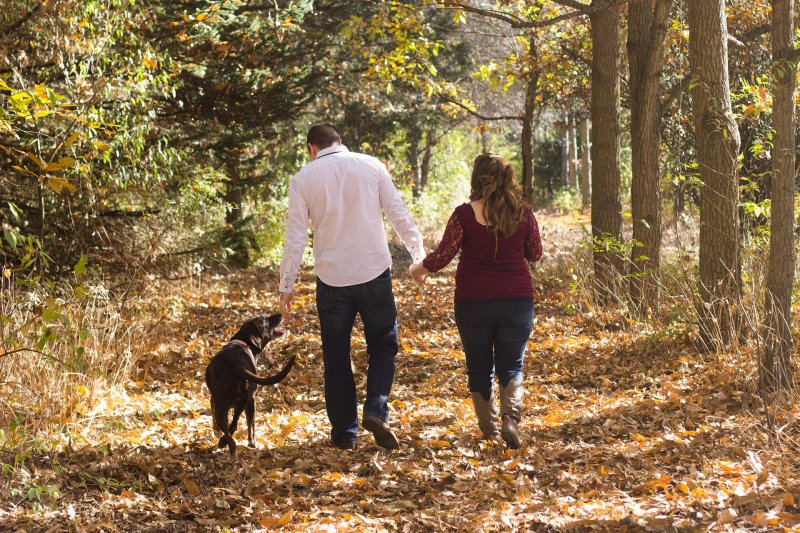 Na co si dát pozor při podzimní procházce se psem!
