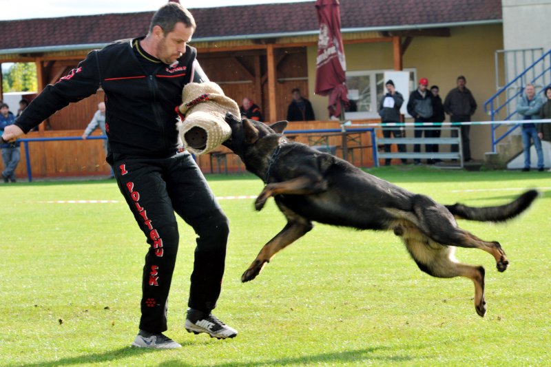 Slovenskí policajní kynológovia oslávili výročie aj pracovne