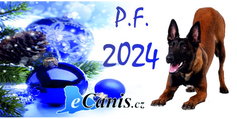 Pá, pá 2023!