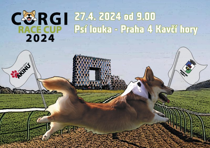 Doběhněte si na čtvrtý ročník Corgi race cupu – již za měsíc!