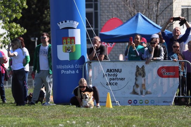 Čtyři nohy přijdou vhod, když běžíš jako s větrem o závod