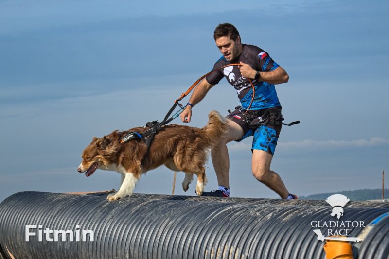 Přijeďte do Holic na Gladiator Race DOG a užijte si zábavu i adrenalin se svým psem 
