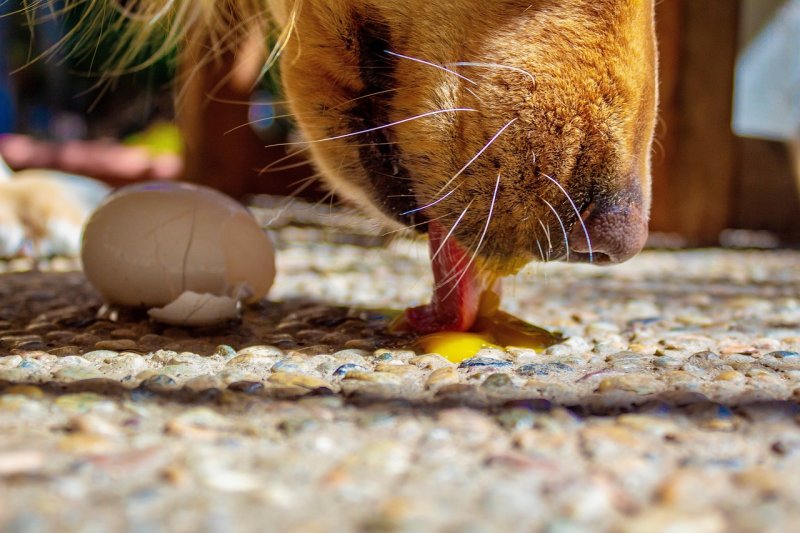 Abeceda zdravých potravin – Doplňky stravy – 6. díl