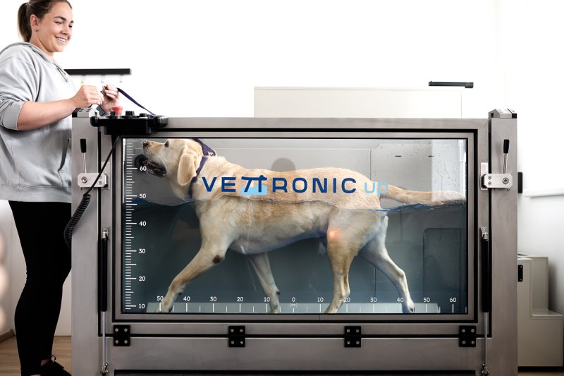 Veterinární fyzioterapie aneb Co si pod tím představit – 1. díl 