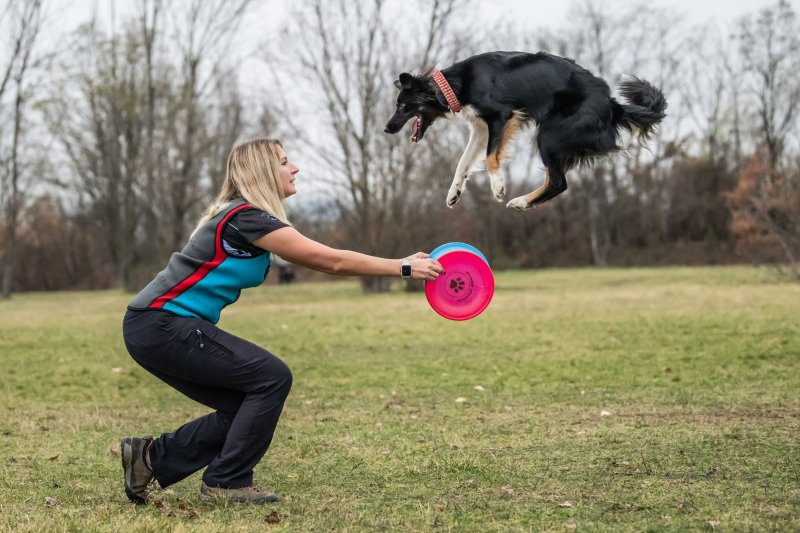 Vzdušné skoky a psí radost: To je svět dogfrisbee