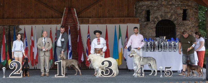 Výstava ve Veľké Idě se musí prostě zažít!