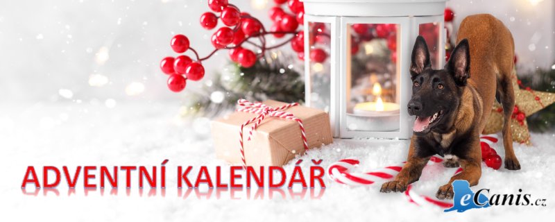 Velká soutěž pro všechny pejskaře! Adventní kalendář 2024 je opět ZDE!