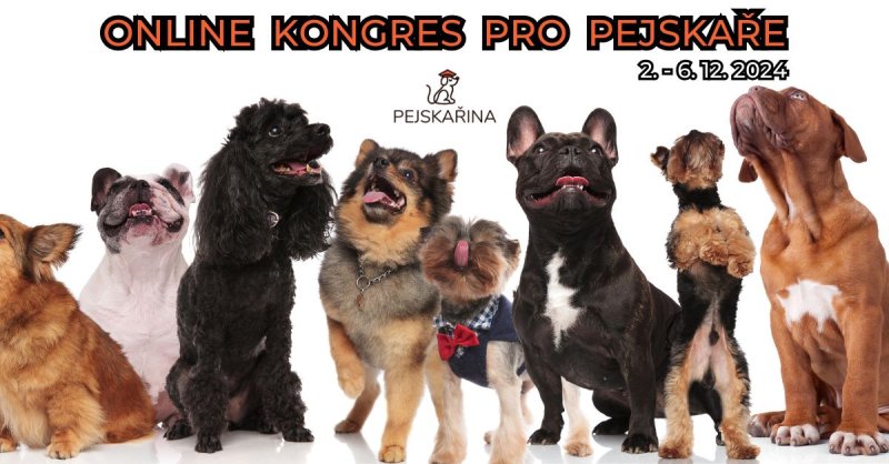 Online kongres pro pejskaře vypukne začátkem prosince!