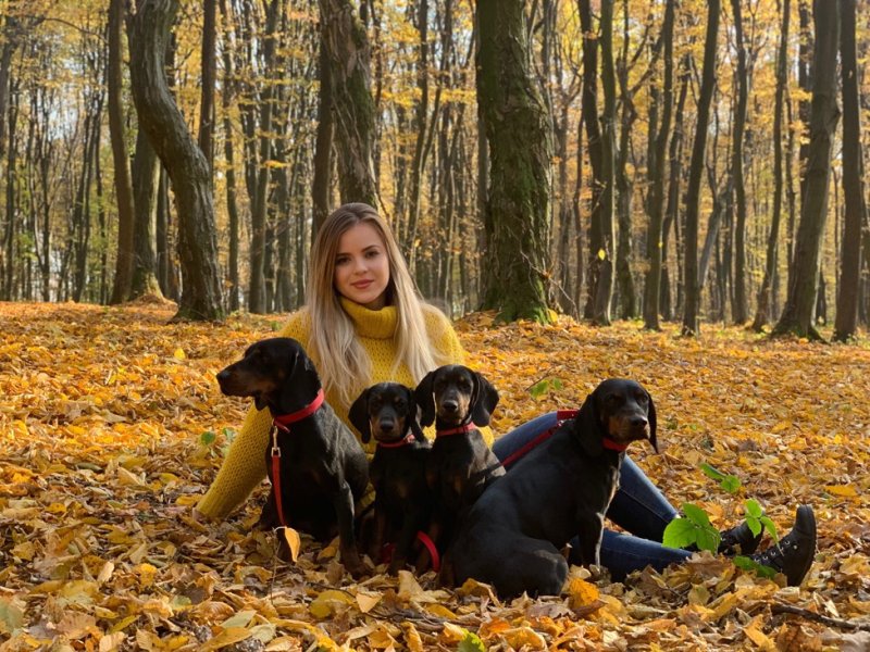Tatranský durič je veľmi tolerantný a priateľský pes!