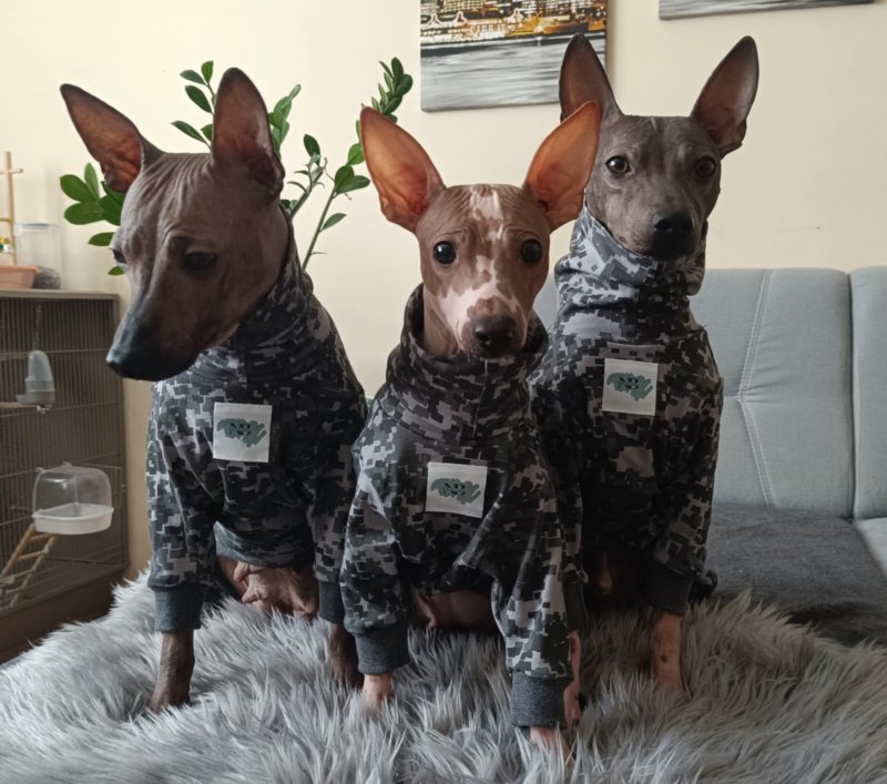 Winter is coming…