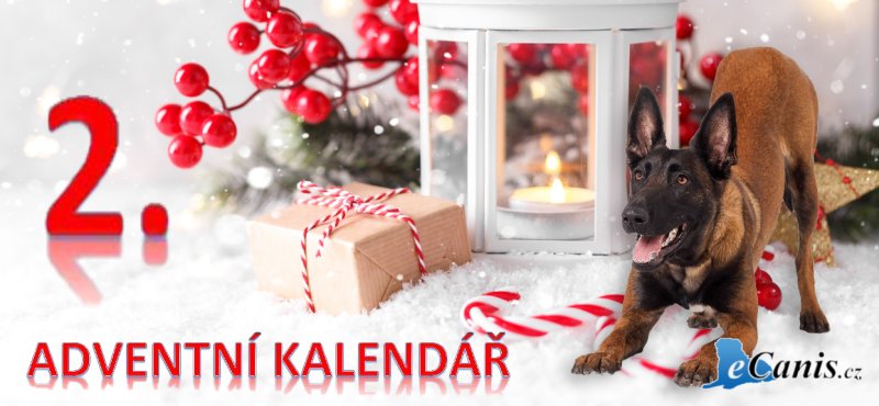 Knížka pod stromeček rozhodně patří!