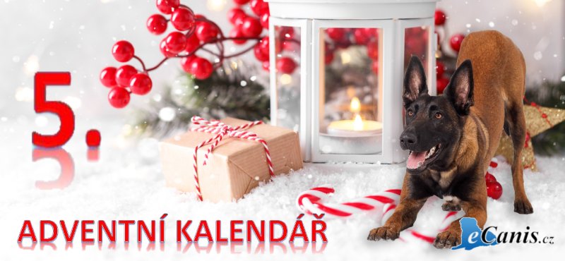 Odolnost, styl a srdce…