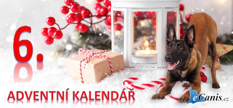 Letáček na míru ocení každý!