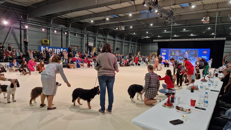 TrioCABIB Prague Expo Dog 2024 – rekordní výstava plná elegance!