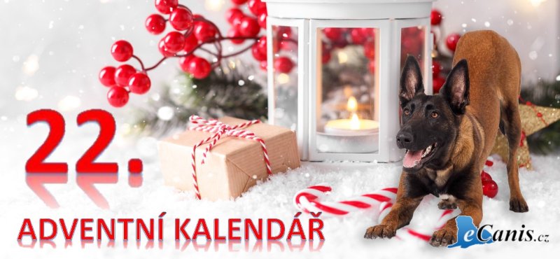 Co takto dávku vzdělání...?