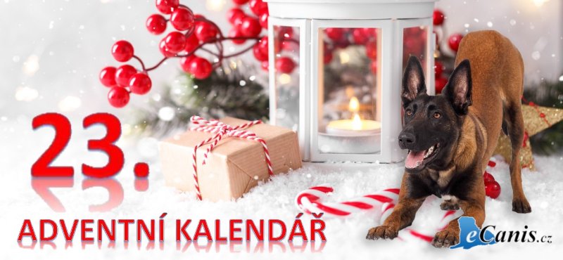 Mezinárodní konference pro pejskaře, trenéry a veterináře