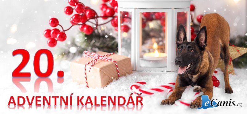 A jedeme dál…
