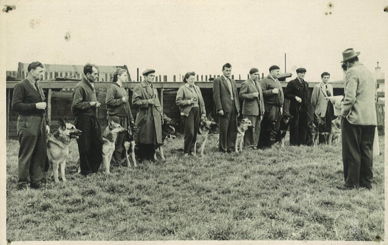 Historie služební kynologie 50. léta – 2. díl