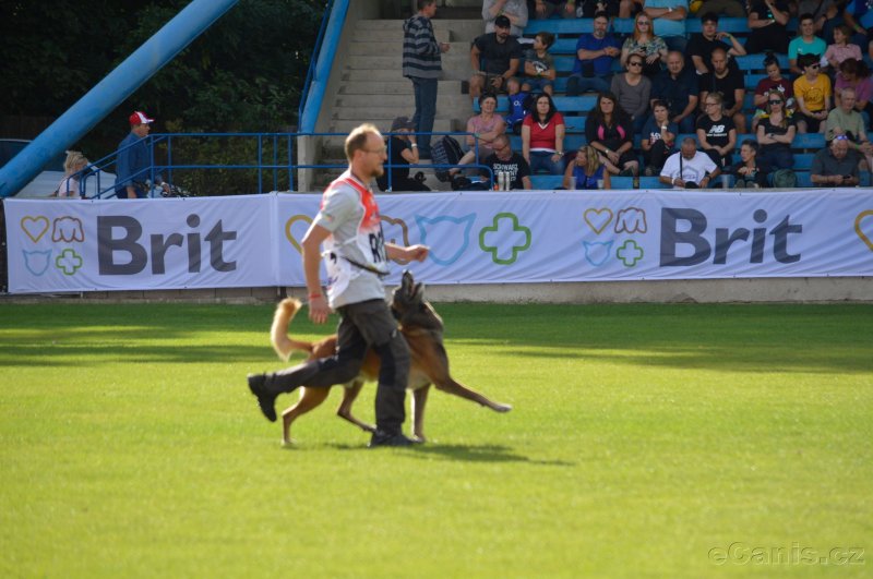 Připomínáme mistry sportovní kynologie