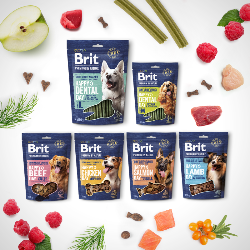 Každý den může být radostný s novými prémiovými pamlsky Brit Premium by Nature!