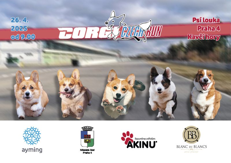 Corgi Czech Run 2025: Malí běžci, velká pomoc