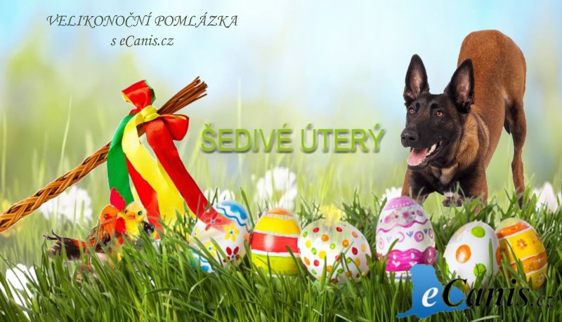 Sunday Pets není jen krmivo, ale i zážitek!