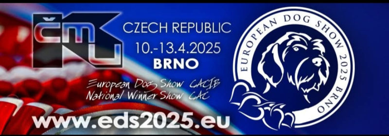 Oslava psí krásy v srdci Evropy – Evropská výstava psů Brno 2025