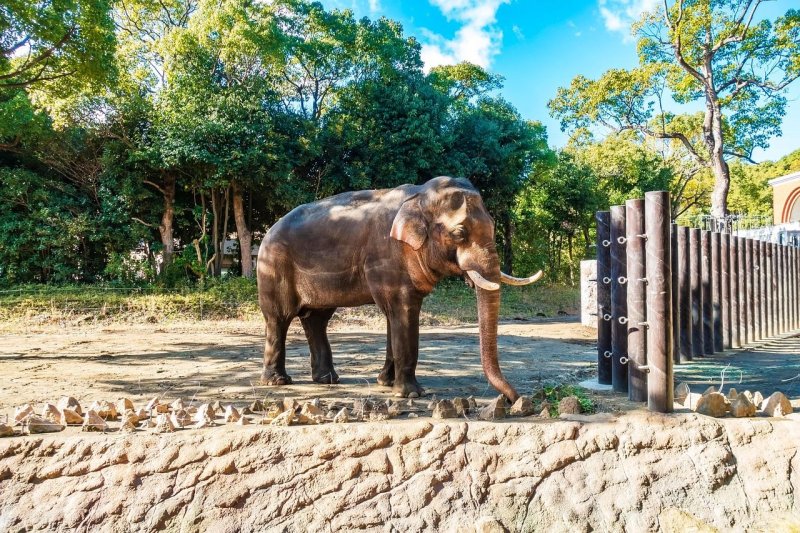 Výlet do zoo aneb Den, kdy jsem našla příbuzné