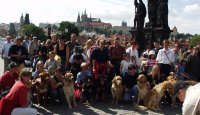 V Praze se psem na volno? Minulost! 