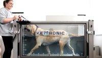 Veterinární fyzioterapie aneb Co si pod tím představit – 1. díl 