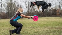 Vzdušné skoky a psí radost: To je svět dogfrisbee