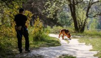 Mantrailing v kostce – 1. díl