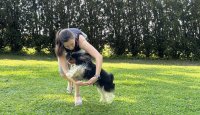 Psí triky a jak na ně – 13. díl