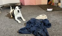 Hersenwerk je balzámem pro duši! – 28. díl