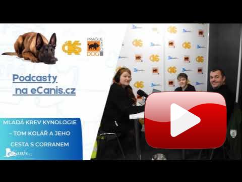 Mladá krev kynologie – Tom Kolář a jeho cesta s Corranem