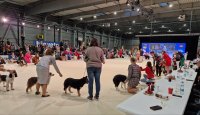TrioCABIB Prague Expo Dog 2024 – rekordní výstava plná elegance!