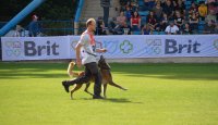 Připomínáme mistry sportovní kynologie