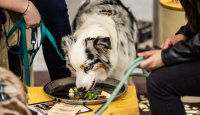 Největší chovatelský veletrh FOR PETS se rozšířil o psí výstavy i exotická zvířata 
