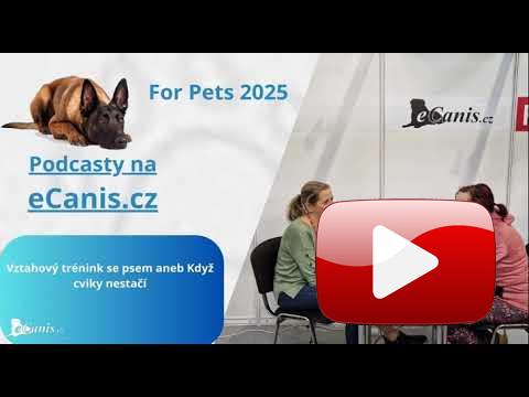 Vztahový trénink se psem aneb Když cviky nestačí