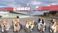 Corgi Czech Run 2025: Malí běžci, velká pomoc