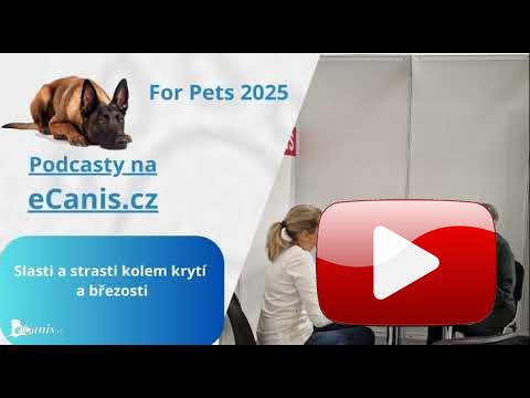 Slasti a strasti kolem krytí a březosti